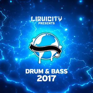Riddle (Liquicity Drum & Bass 2017)