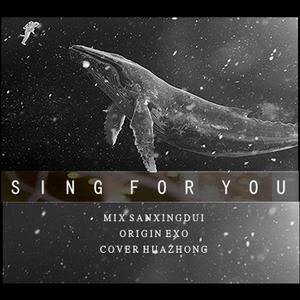陌花冢 - Sing For You