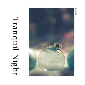 格里特 - Tranquil Night 寂静之夜