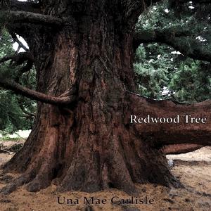 Una Mae Carlisle - Redwood Tree