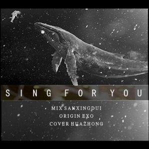 陌花冢 - Sing For You(为你而唱)