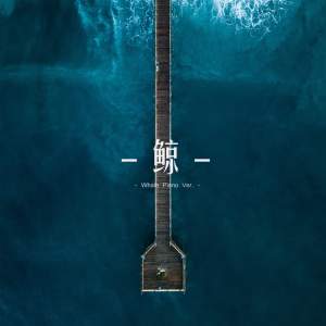 格里特 - Whale 鲸