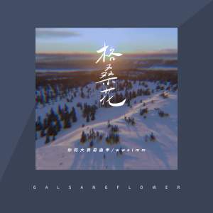 你的大表哥曲甲 - 格桑花