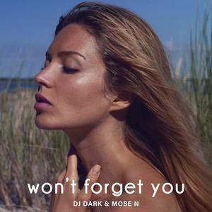 Won't forget you