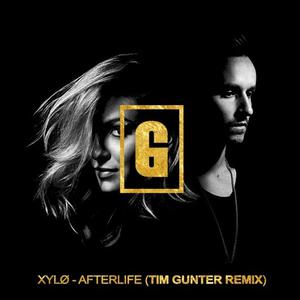 Afterlife (Tim Gunter Remix)