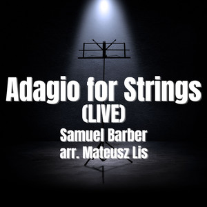 Mateusz Lis - Adagio for Strings (Live)