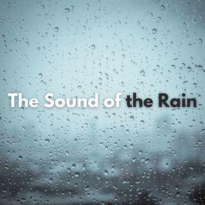 Rain Sounds - The Sound of the Rain