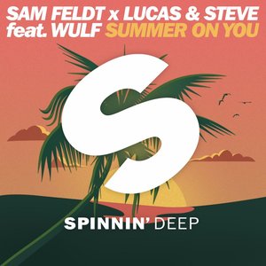 Sam Feldt - Summer on You