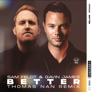 Sam Feldt - Better (Thomas Nan Remix)