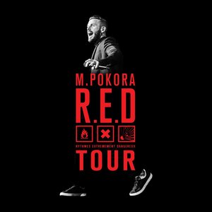 Matt Pokora - R.E.D. Tour Live