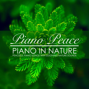 Piano Peace - Piano in Nature