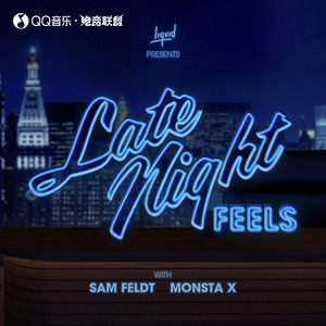 Sam Feldt - Late Night Feels