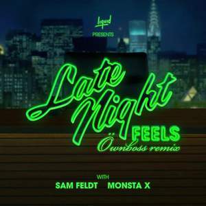 Sam Feldt - Late Night Feels (Öwnboss Remix)