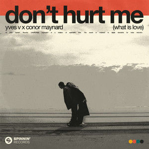 Don&#x27;t Hurt Me (What Is Love)