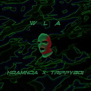 wla (feat. Trippyboi) [Explicit]