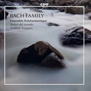 Ensemble Polyharmonique - Bach Family