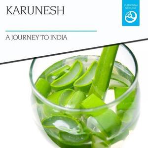 Karunesh - A Journey to India
