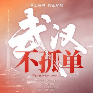 雷佳2020-02-07专辑《武汉不孤单》无损音乐MP3试听下载