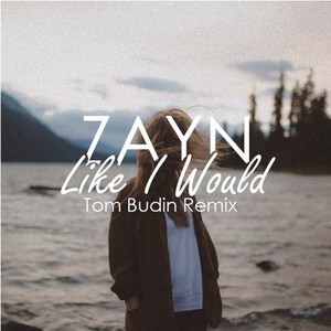 Tom Budin - Like I Would (Tom Budin Remix)
