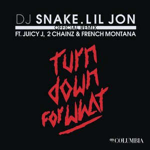 DJ Snake - Turn Down for What