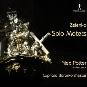 Alex Potter - Solo Motets