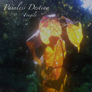 Painless Destiny - Fragile