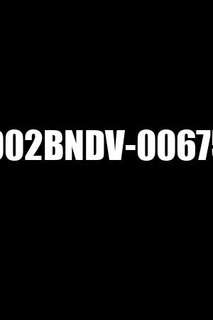 002BNDV-00675