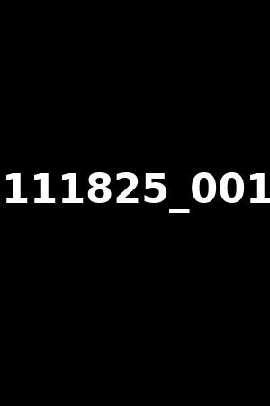 111825_001