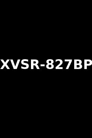 XVSR-827BP