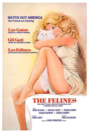 性感小野猫Les Félines