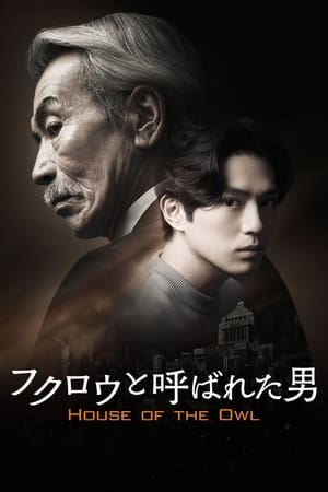 那个叫猫头鹰的男人