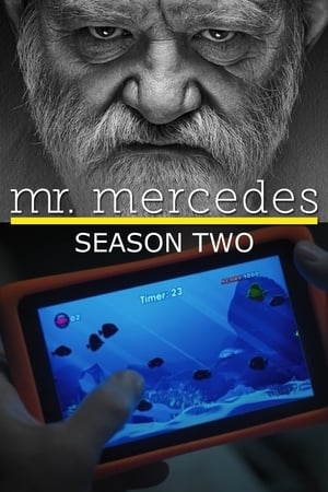 梅赛德斯先生第2季