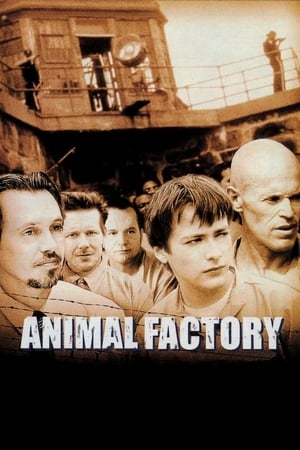 动物工厂
