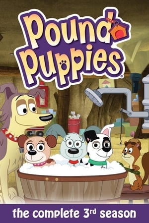 Pound Puppies第3季