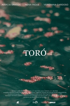 Toró(2024电影)
