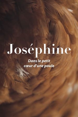 Joséphine, dans le petit cœur d'une poule