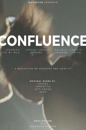 Confluence: A Meditation in Documentary Form