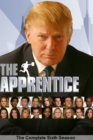 The Celebrity Apprentice第6季