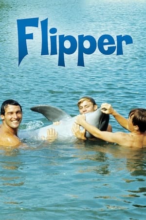 海豚弗利珀