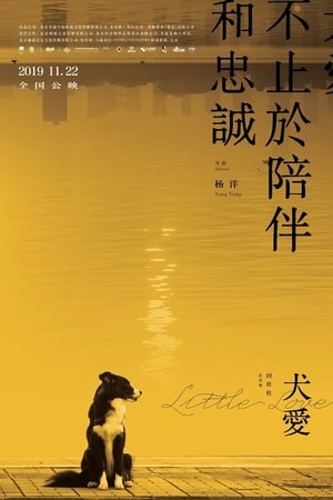 犬爱
