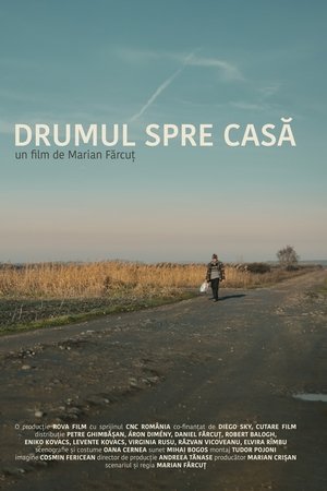 Drumul spre casa