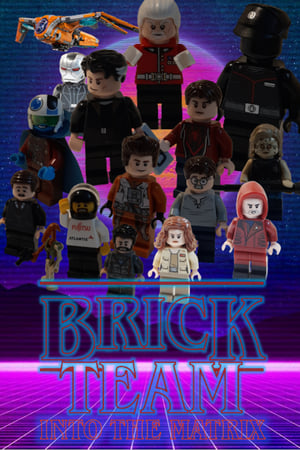 Brick Team: Into the Matrix