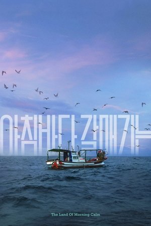 晨海的海鸥