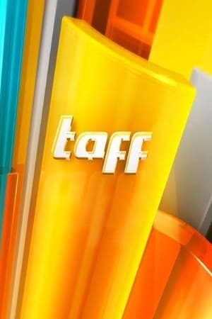 Taff(1997电视剧集)