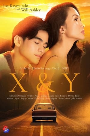 X&Y(2024电影)