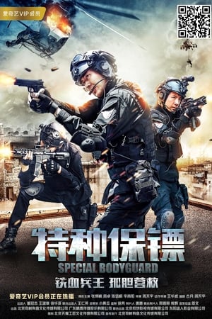 特种保镖