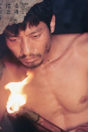 西部来的人