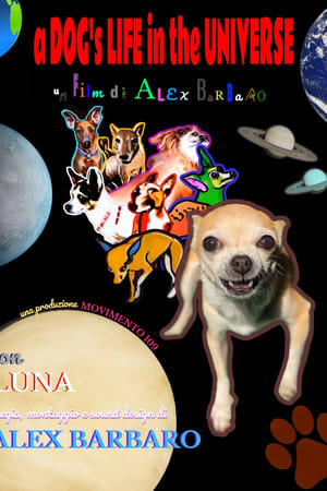 a DOG's LIFE in the UNIVERSE