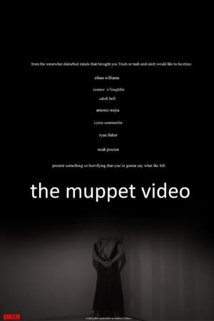 The Muppet Video