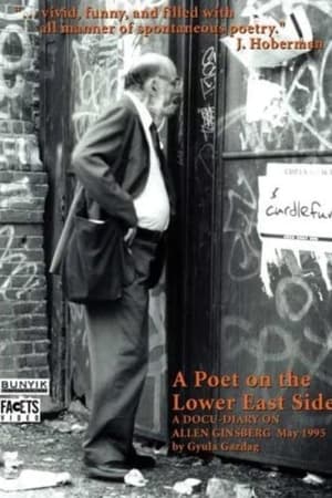 Ginsberg - egy költö a Lower East Side-ról